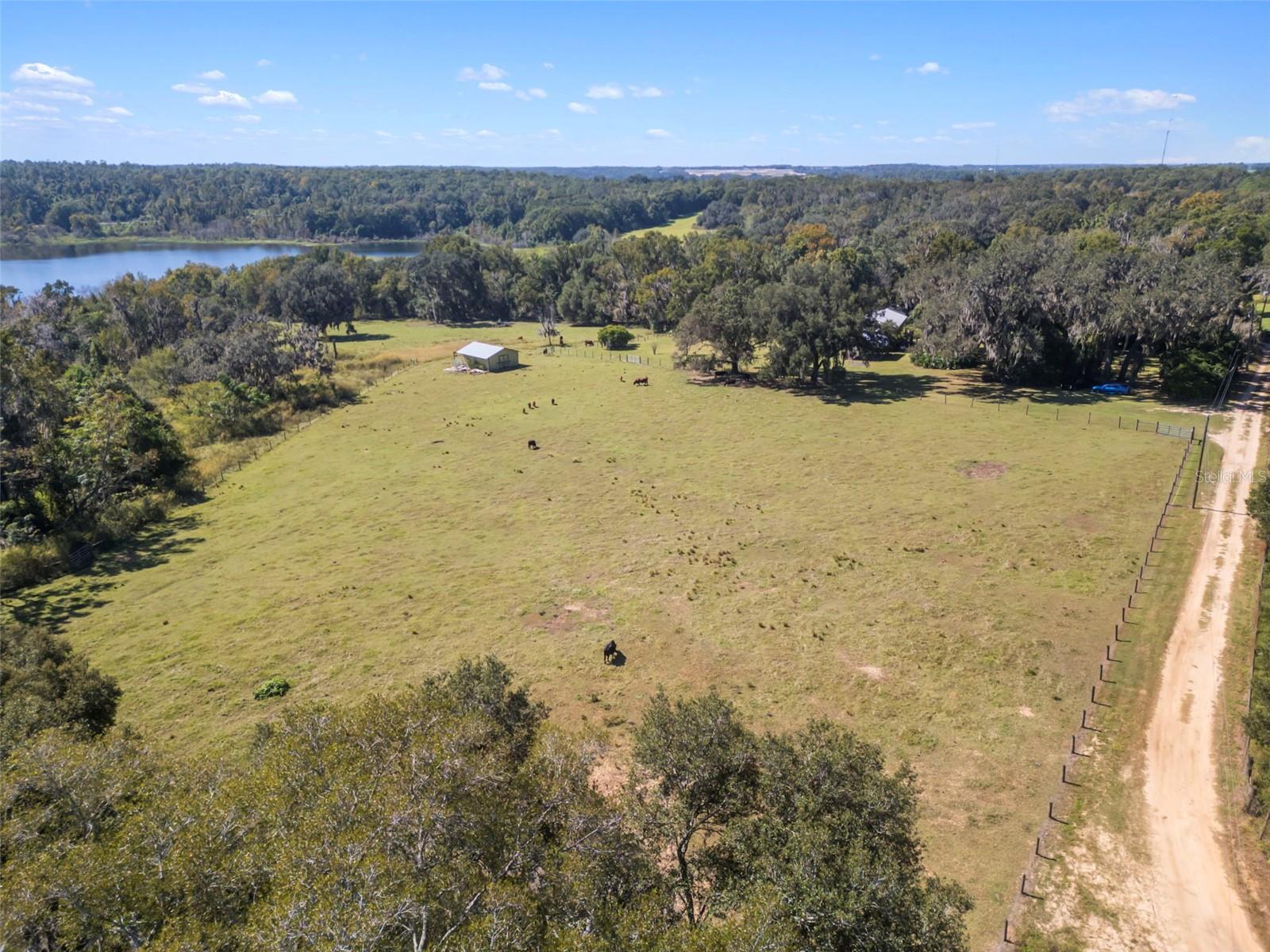 32854 LISTER RD, DADE CITY, FL — photo 3