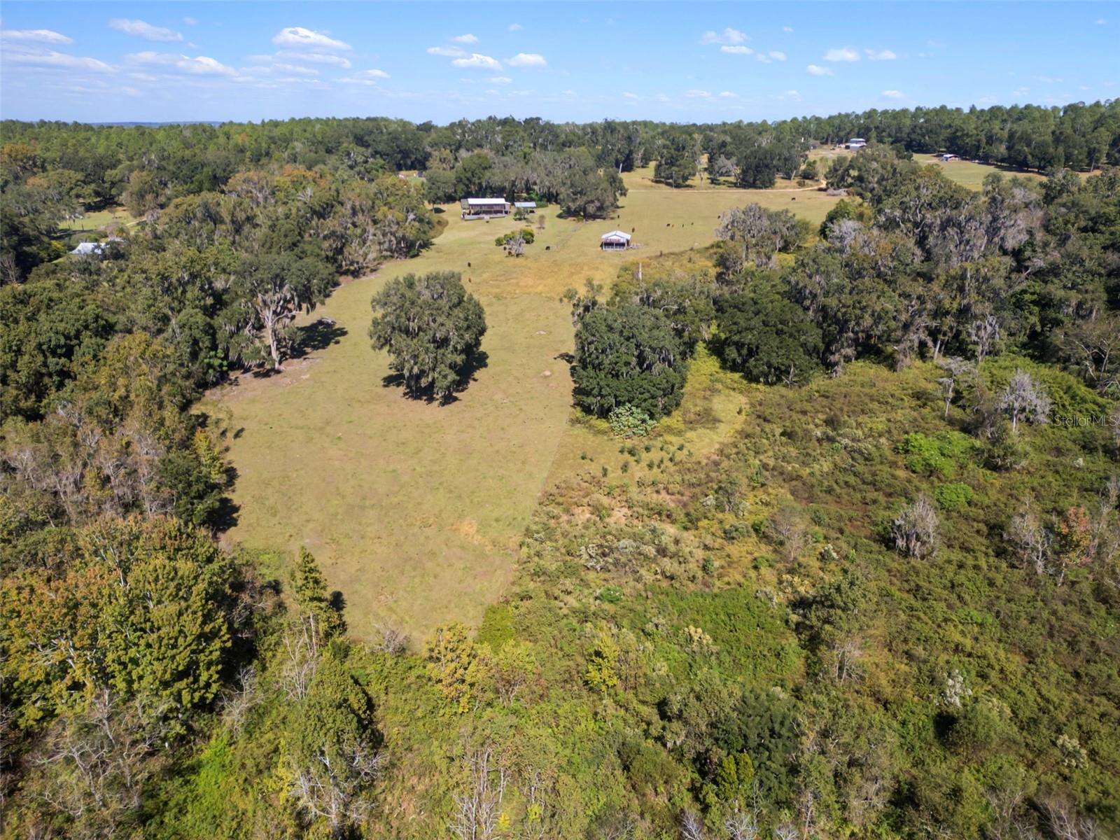 32854 LISTER RD, DADE CITY, FL — photo 8