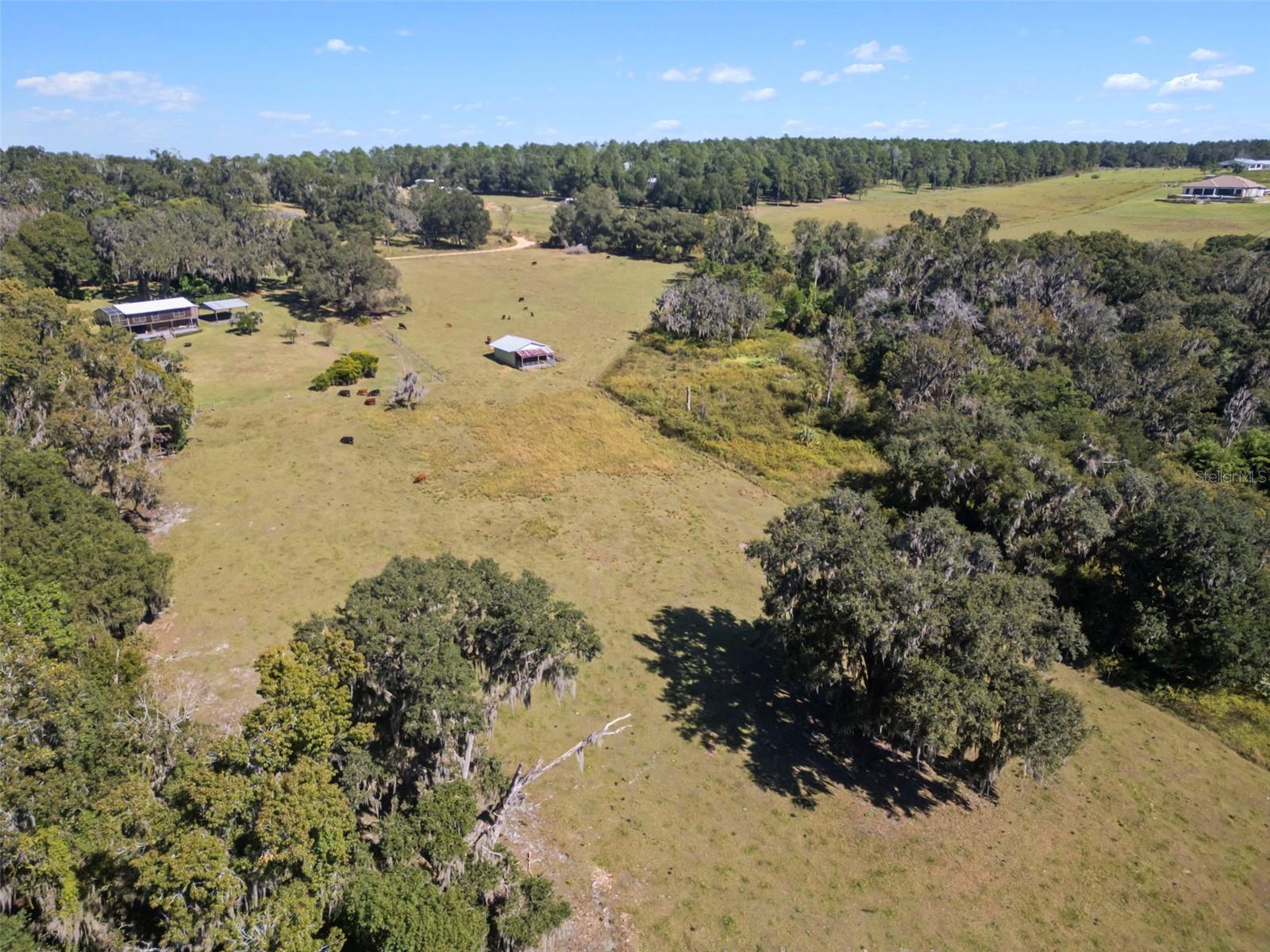 32854 LISTER RD, DADE CITY, FL — photo 9