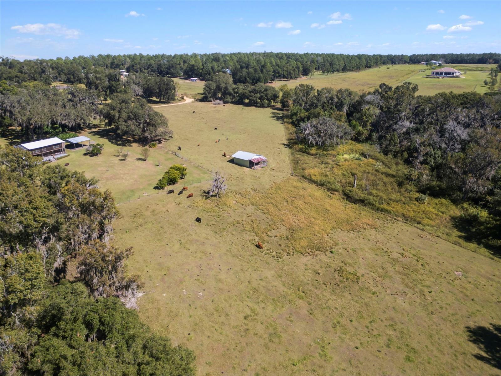 32854 LISTER RD, DADE CITY, FL — photo 12