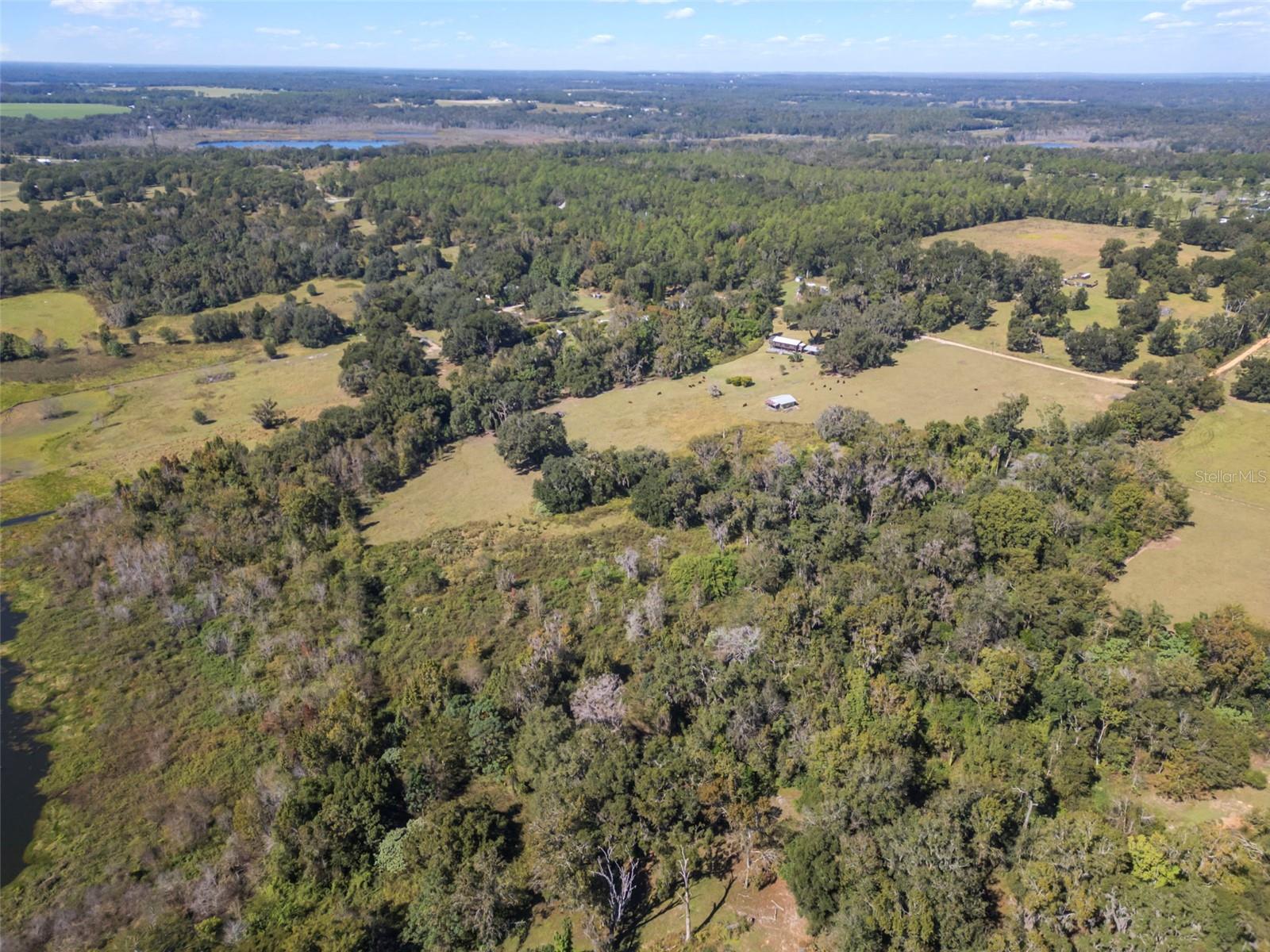 32854 LISTER RD, DADE CITY, FL — photo 21