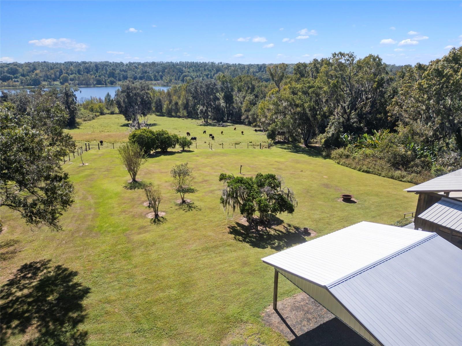 32854 LISTER RD, DADE CITY, FL — photo 25