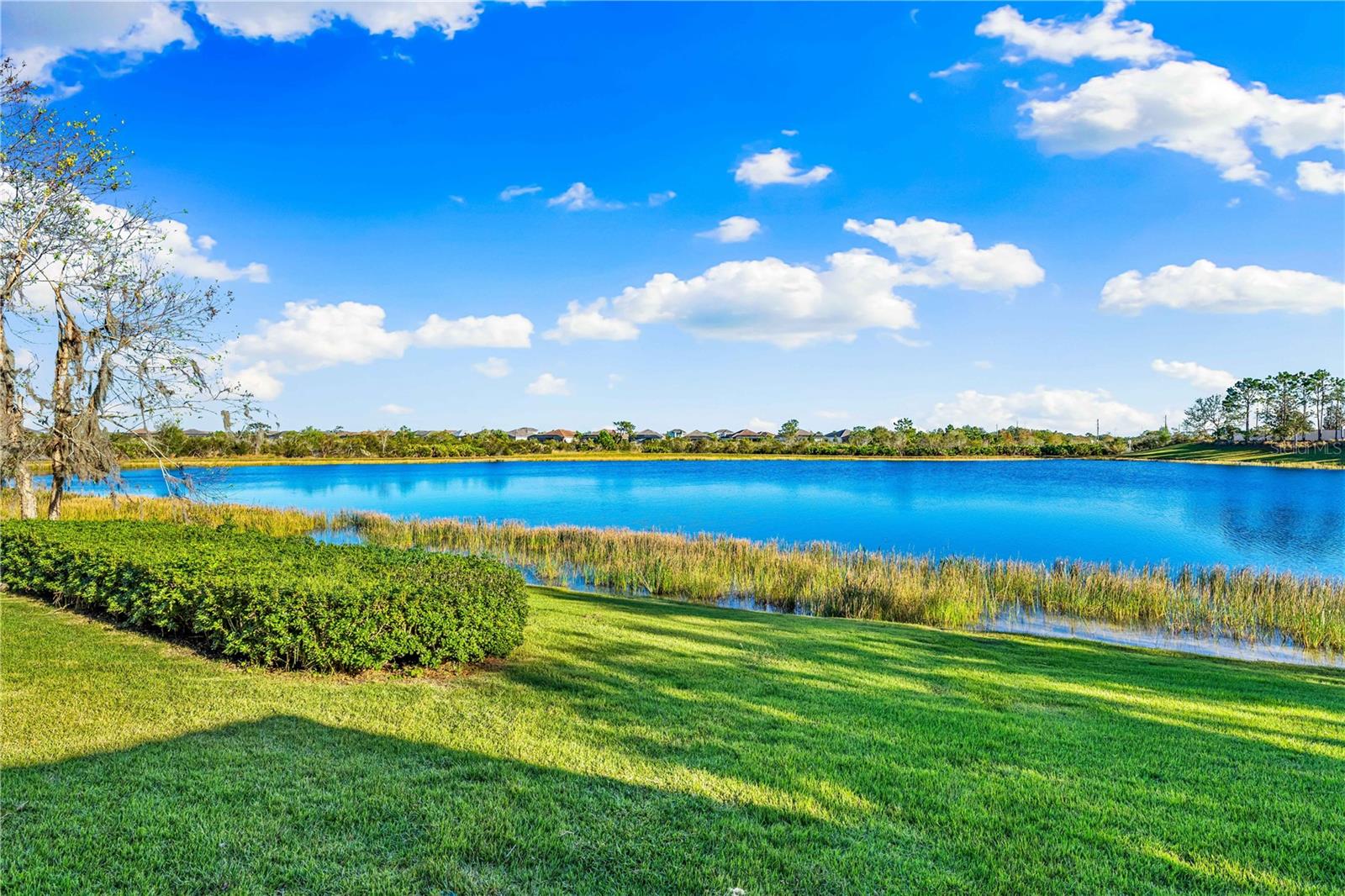 8376 CATAMARAN CIR, LAKEWOOD RANCH, FL — photo 71