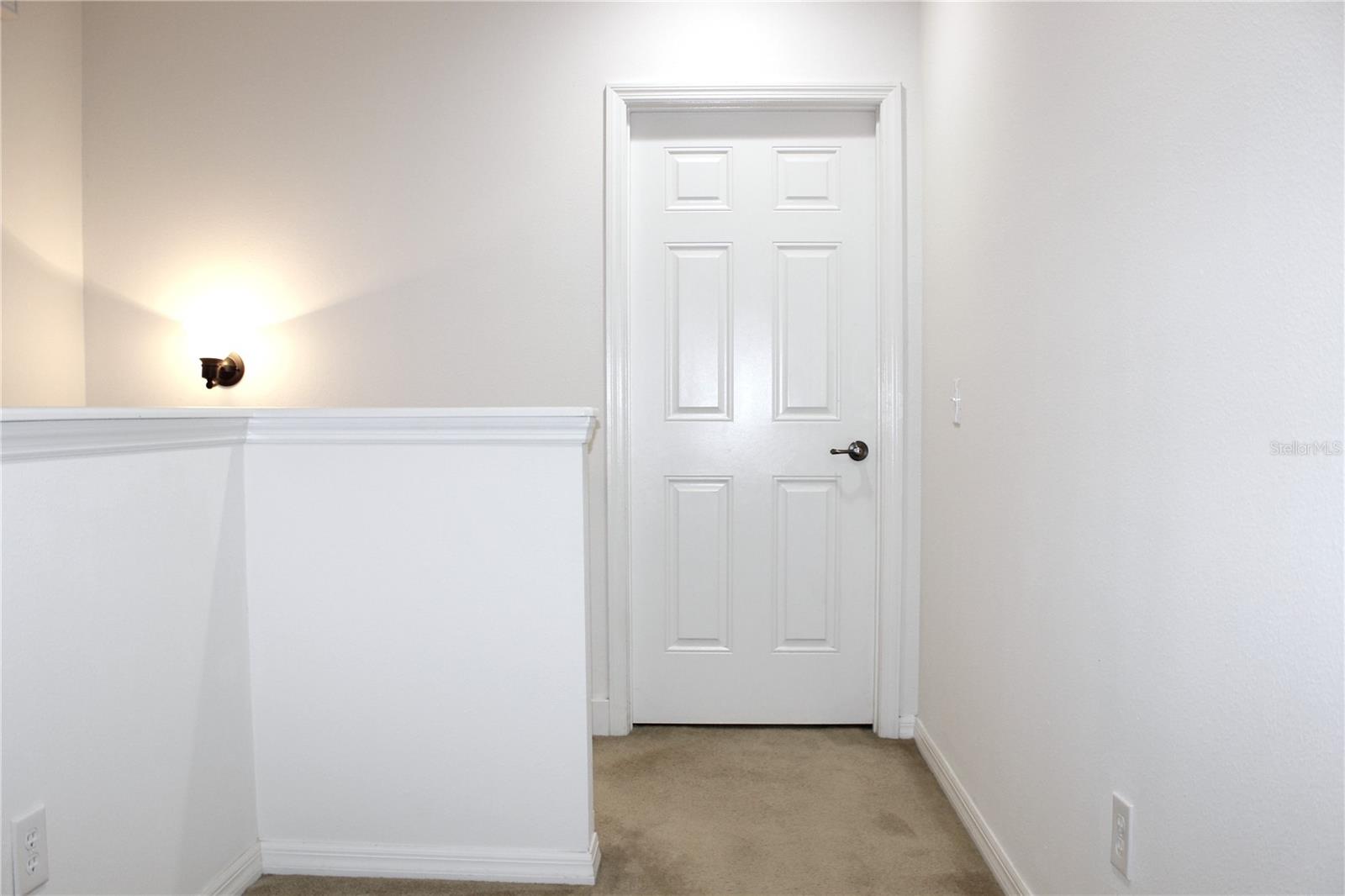 314 SUMMER CLOUDS PL, BRANDON, FL — photo 21