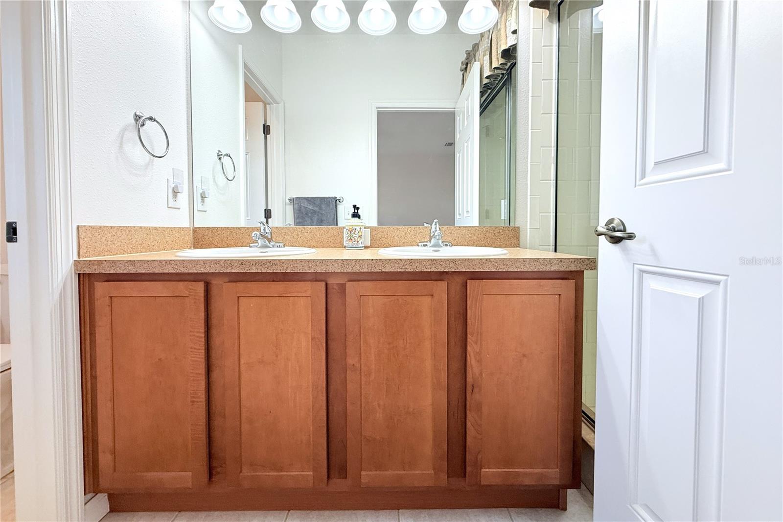 314 SUMMER CLOUDS PL, BRANDON, FL — photo 26
