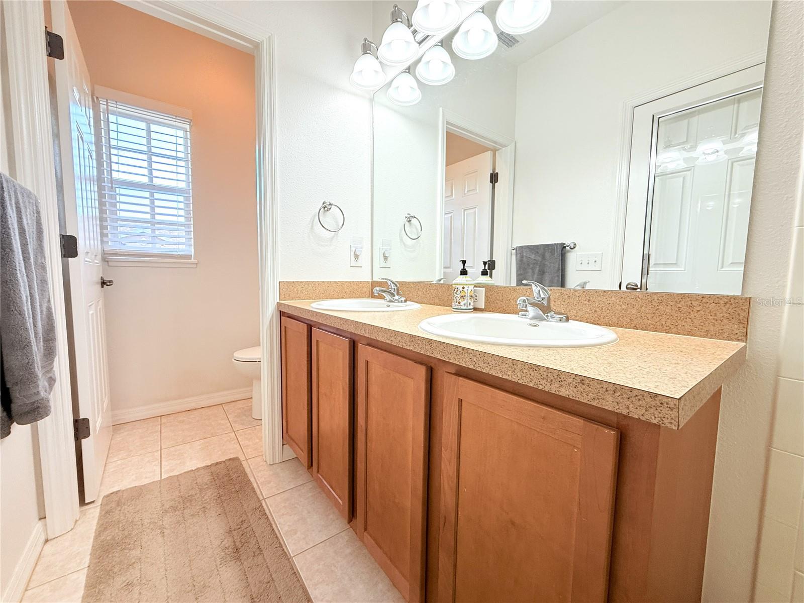 314 SUMMER CLOUDS PL, BRANDON, FL — photo 28