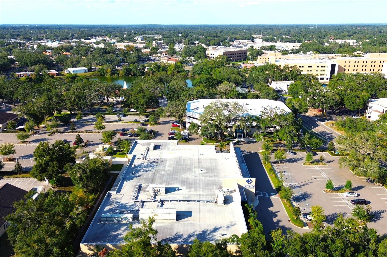 314 SUMMER CLOUDS PL, BRANDON, FL — photo 39
