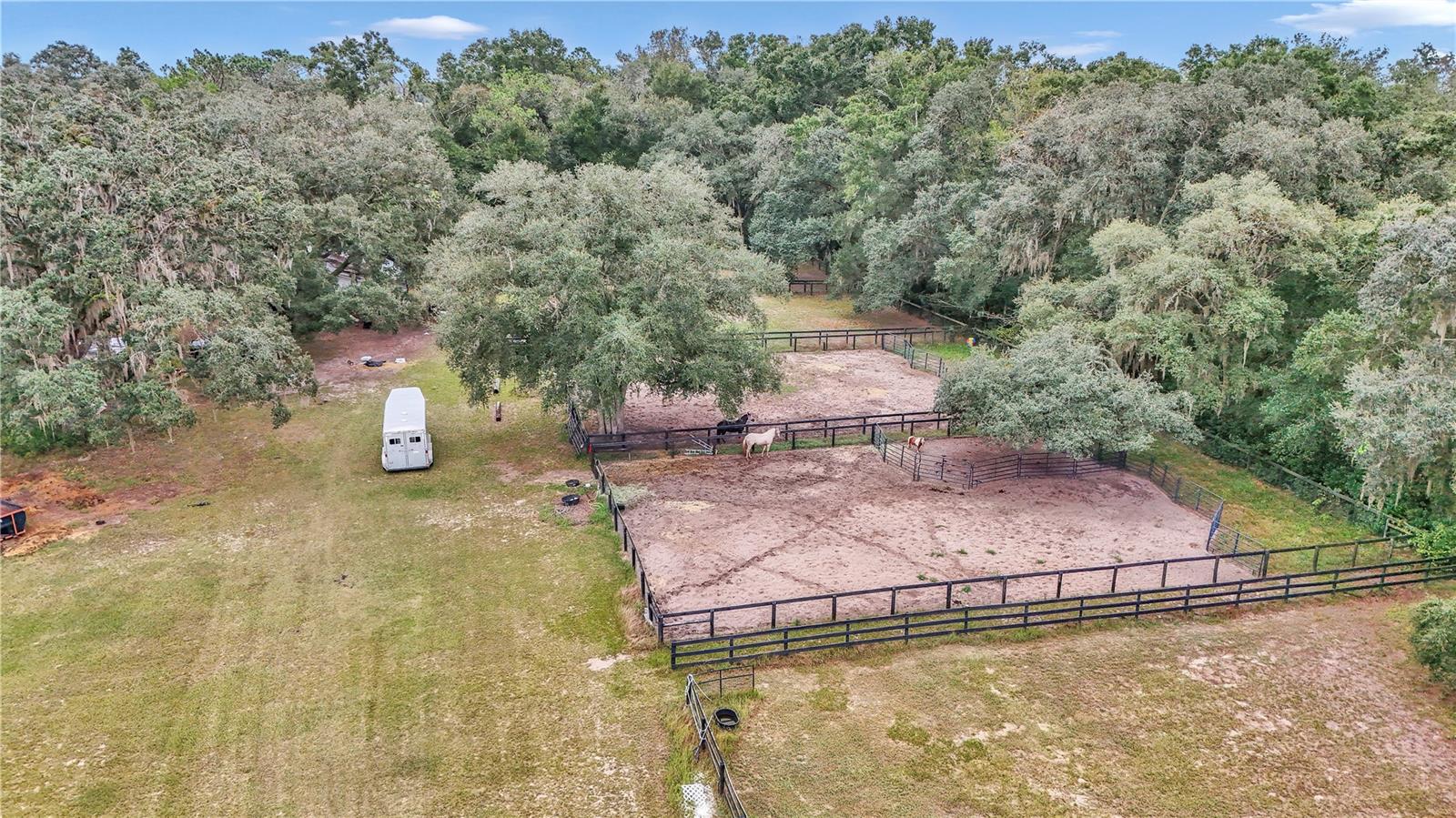 19597 SE 70TH LN, MORRISTON, FL — photo 6