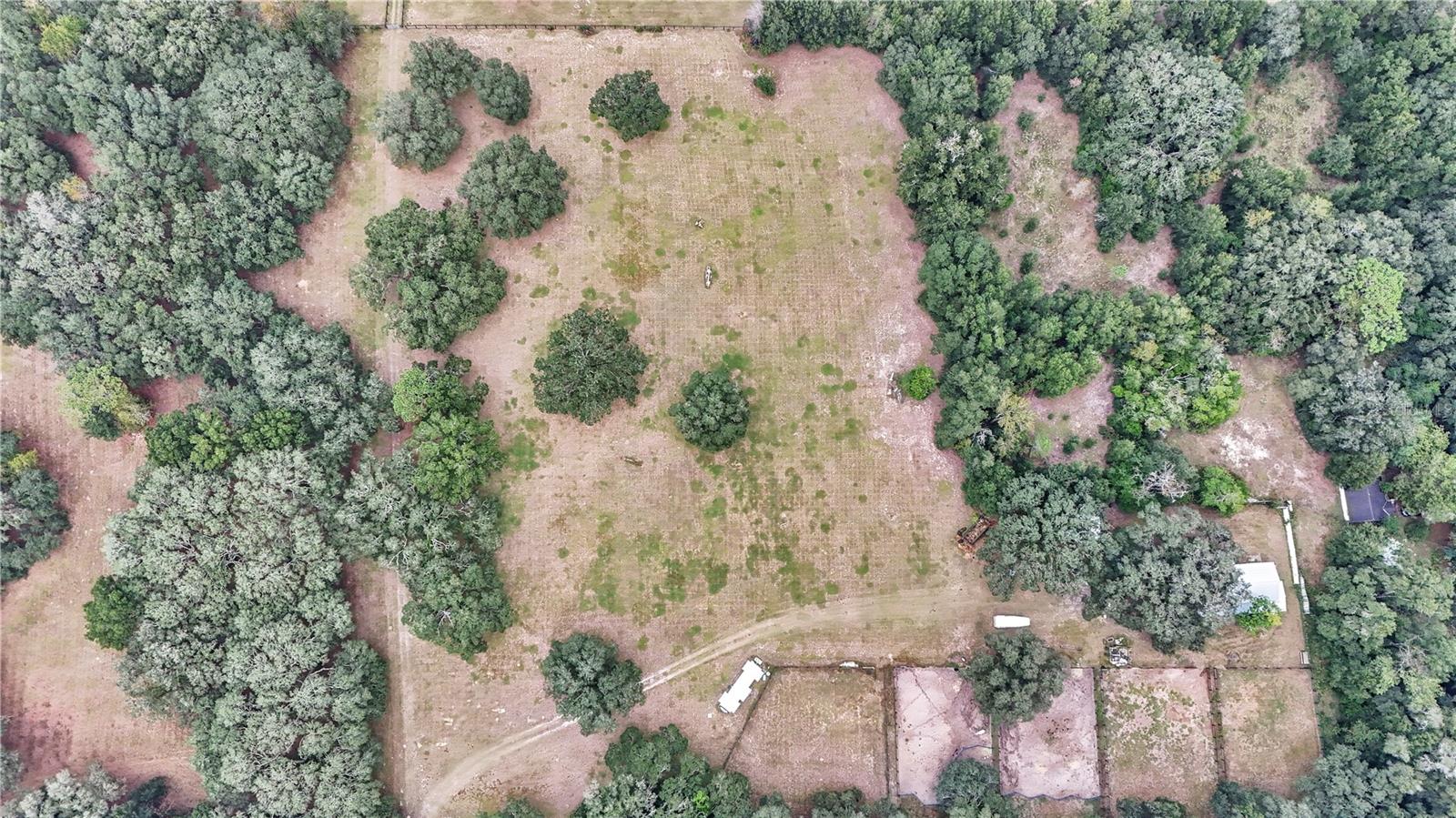 19597 SE 70TH LN, MORRISTON, FL — photo 17
