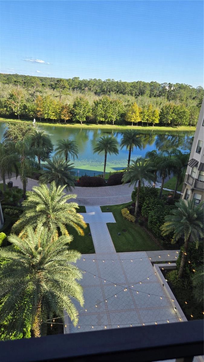 14501 GROVE RESORT AVE #1603, WINTER GARDEN, FL — photo 9