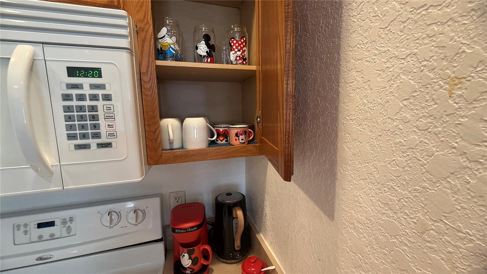 4563 YELLOWGOLD RD E #106, KISSIMMEE, FL — photo 10