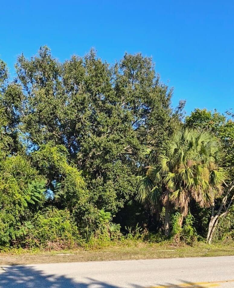 19077 COCHRAN BLVD, PORT CHARLOTTE, FL