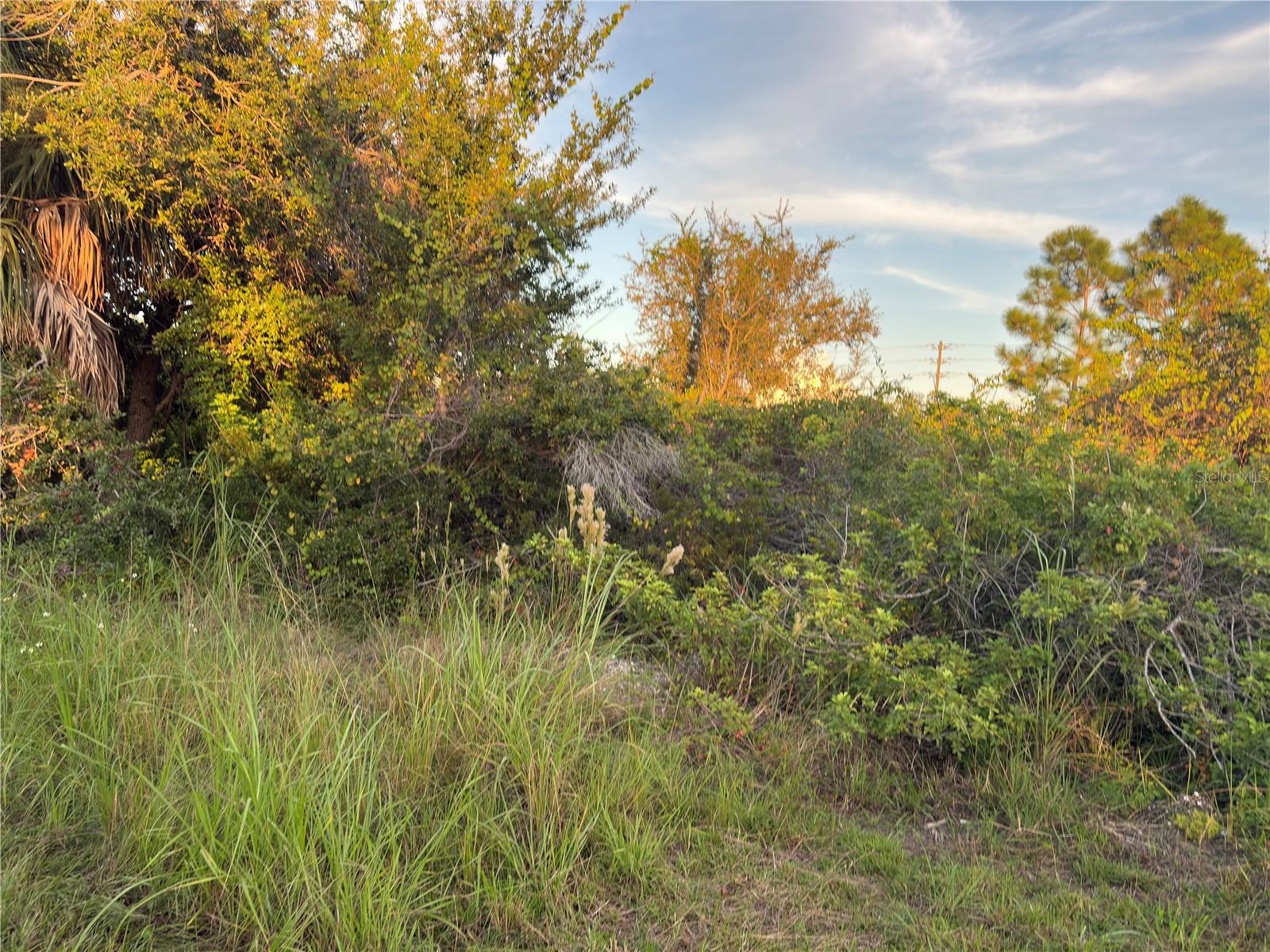 14251 INGRAHAM BLVD, PORT CHARLOTTE, FL — photo 5