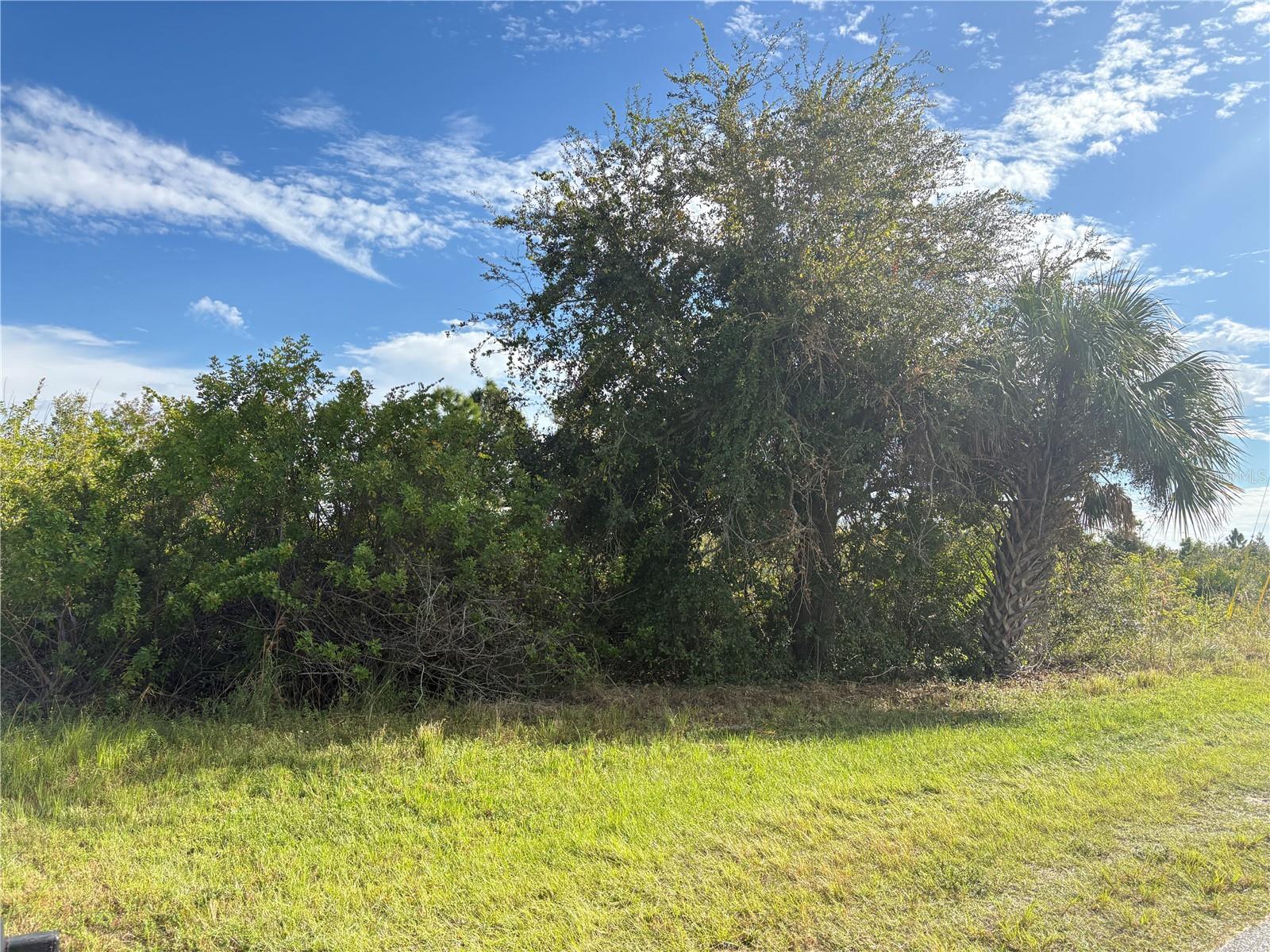 14251 INGRAHAM BLVD, PORT CHARLOTTE, FL — photo 4