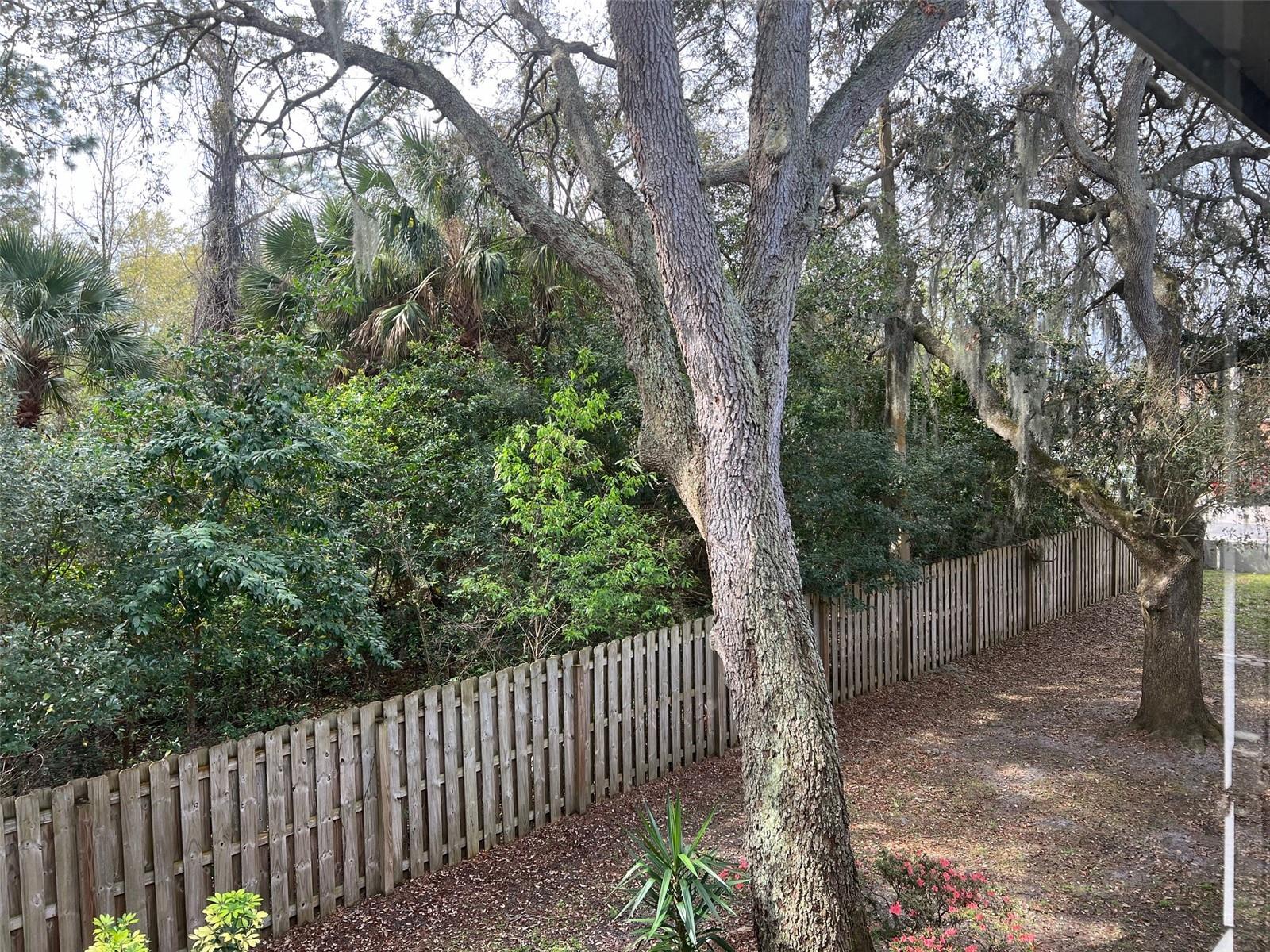 1795 HARRISON ST #215, TITUSVILLE, FL — photo 22