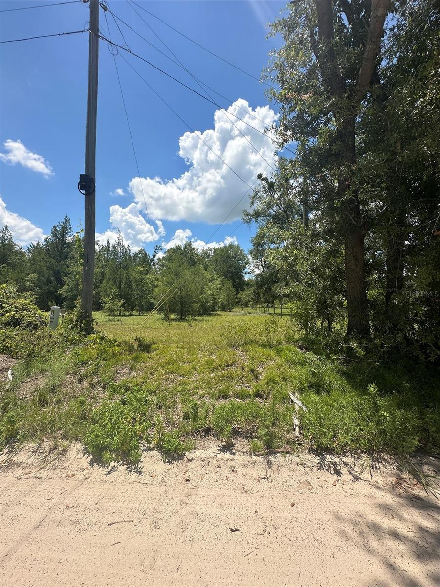 209TH RD, LIVE OAK, FL — photo 2