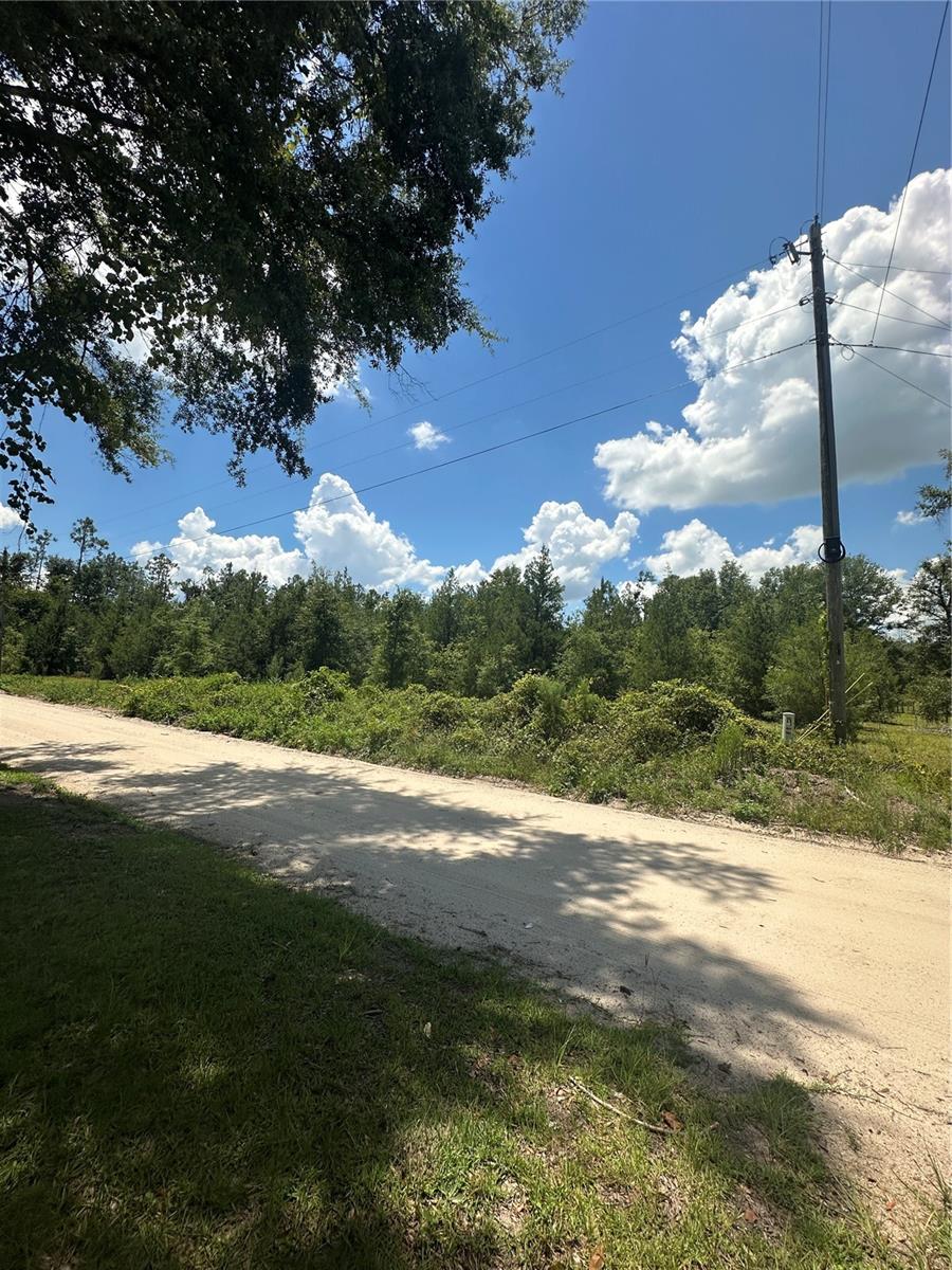 209TH RD, LIVE OAK, FL — photo 3