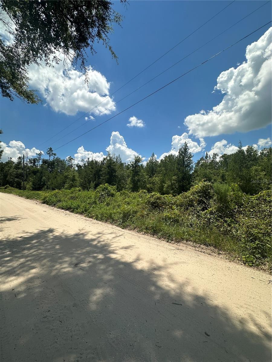 209TH RD, LIVE OAK, FL — photo 4