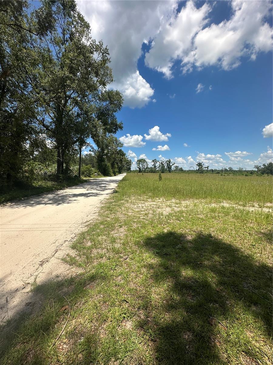 209TH RD, LIVE OAK, FL — photo 5