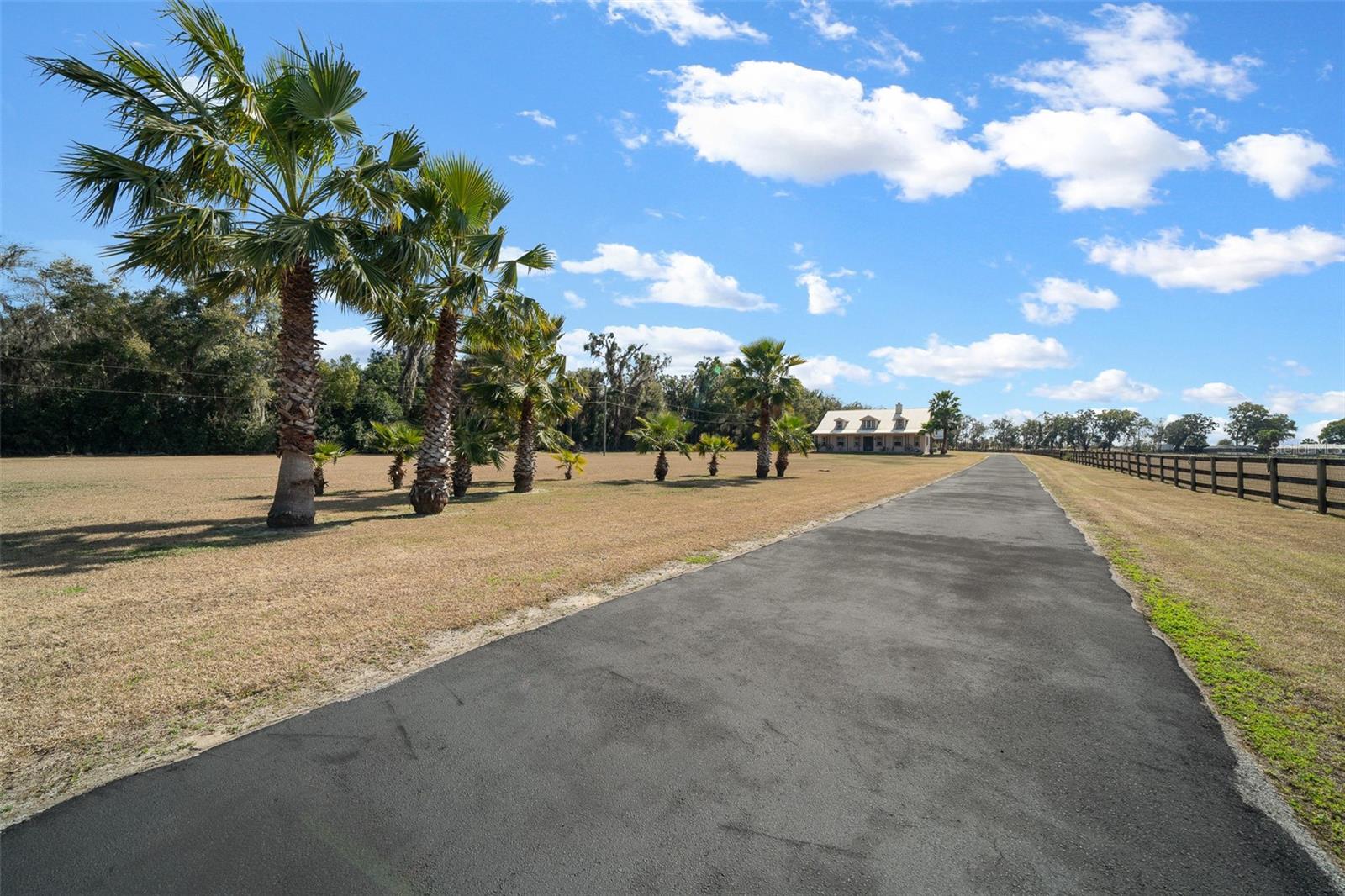 2198 W HIGHWAY 329, CITRA, FL — photo 5
