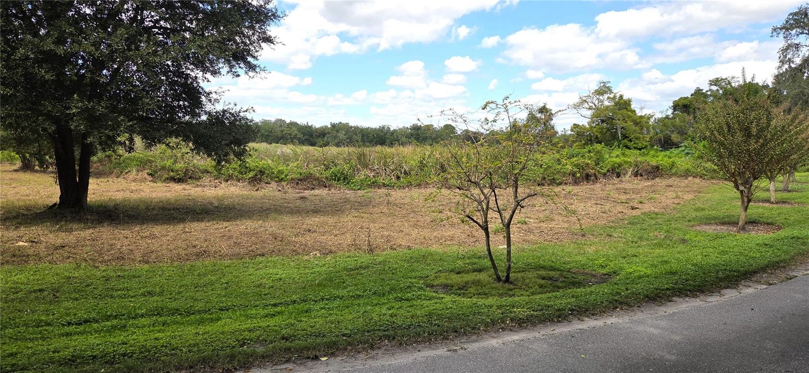 RIVERSIDE PARK RD, ORLANDO, FL — photo 6