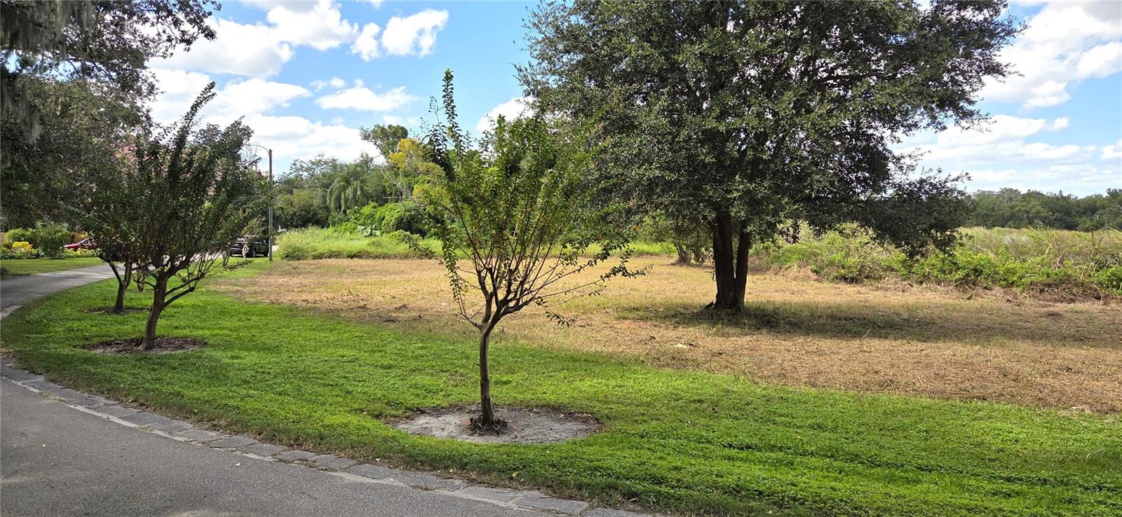 RIVERSIDE PARK RD, ORLANDO, FL — photo 7