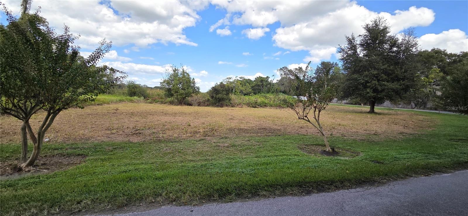 RIVERSIDE PARK RD, ORLANDO, FL — photo 8