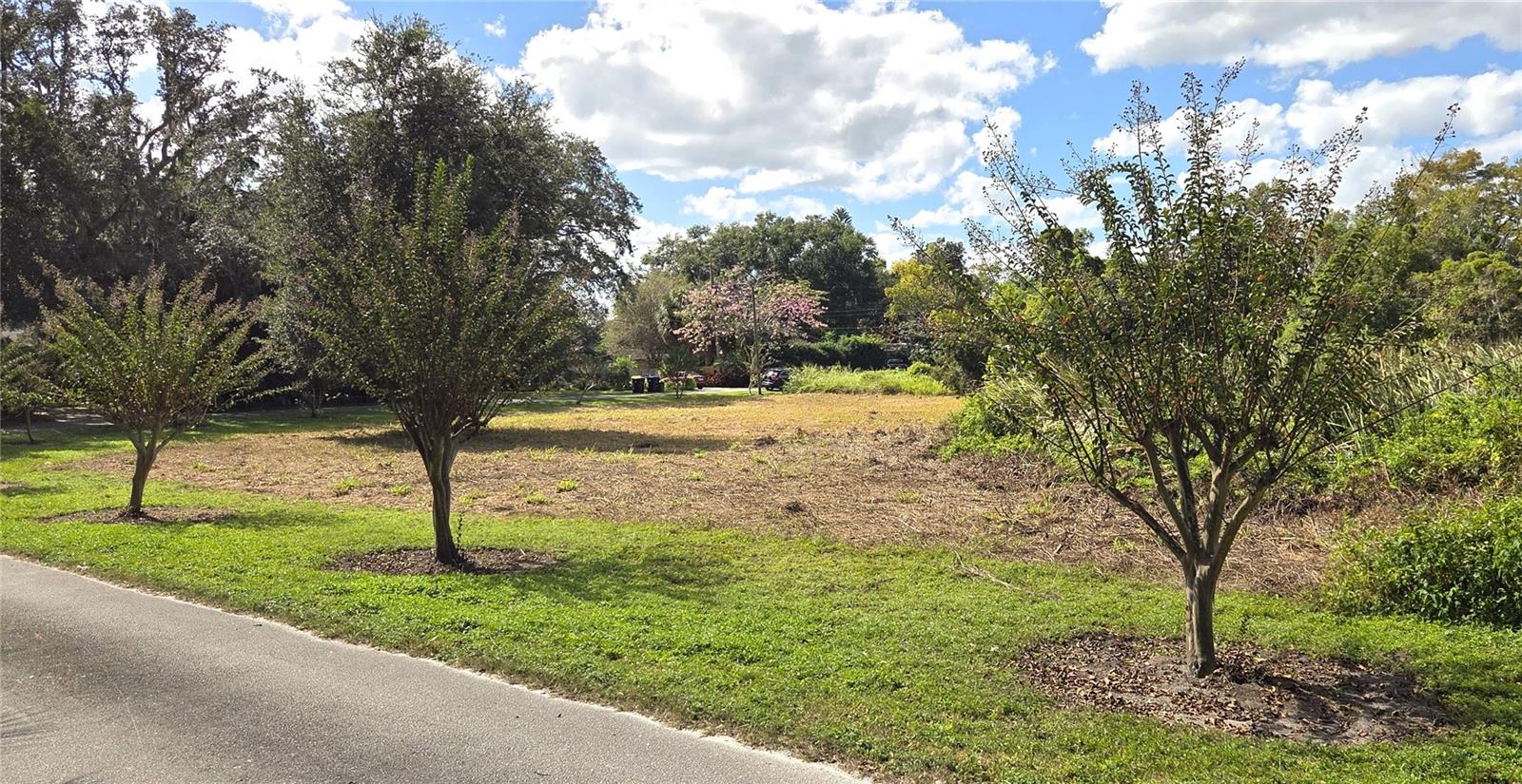 RIVERSIDE PARK RD, ORLANDO, FL — photo 9