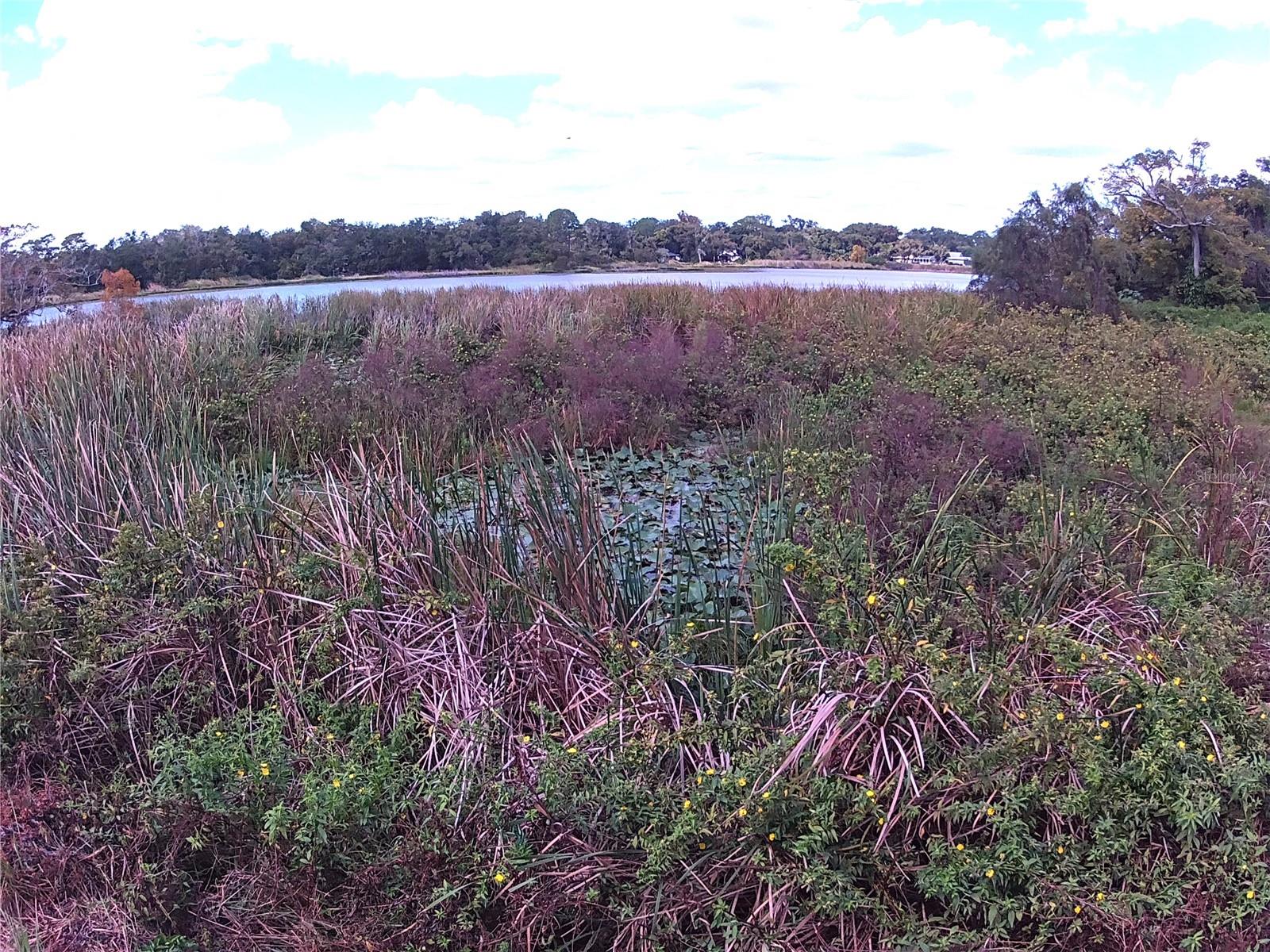 RIVERSIDE PARK RD, ORLANDO, FL — photo 12