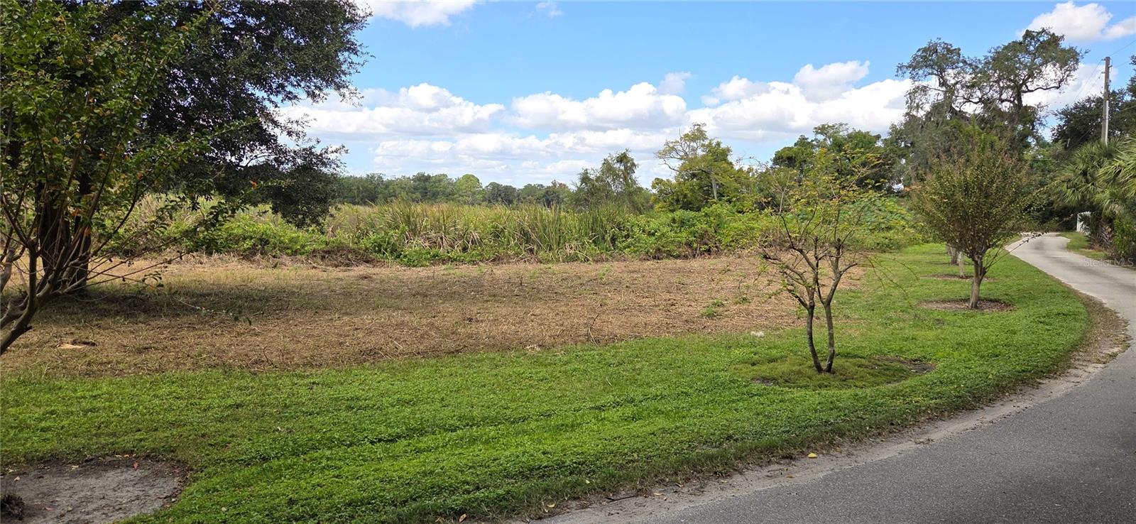 RIVERSIDE PARK RD, ORLANDO, FL — photo 13