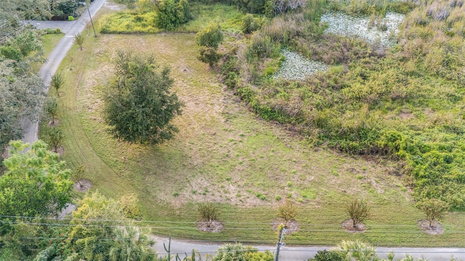 RIVERSIDE PARK RD, ORLANDO, FL — photo 16