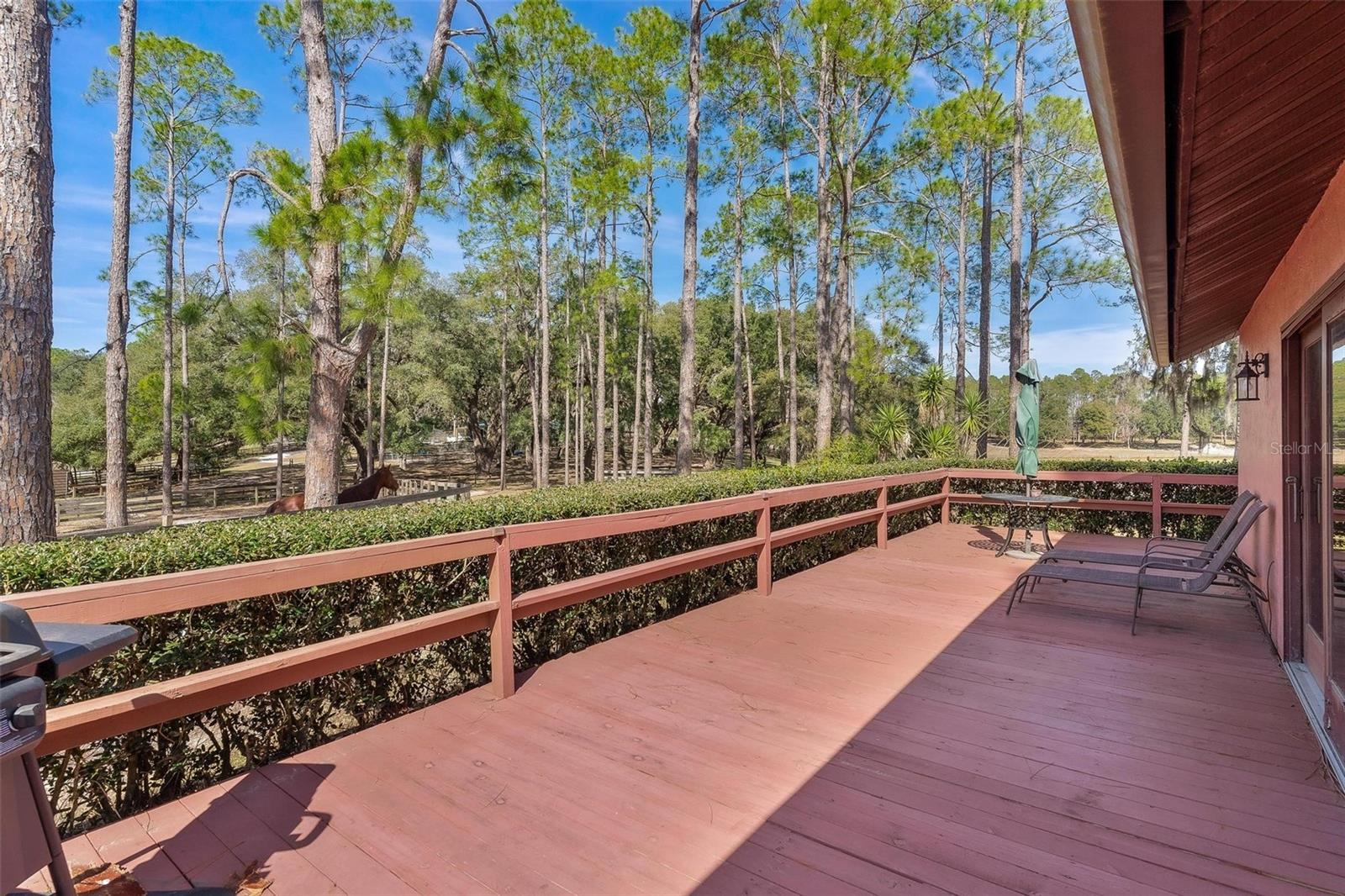 42645 W ALTOONA RD, ALTOONA, FL — photo 54