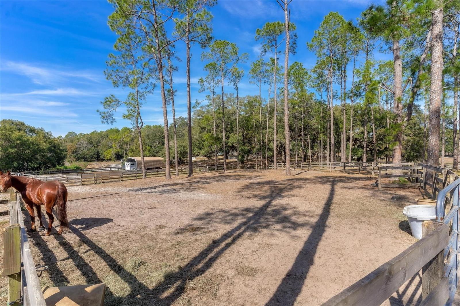 42645 W ALTOONA RD, ALTOONA, FL — photo 66