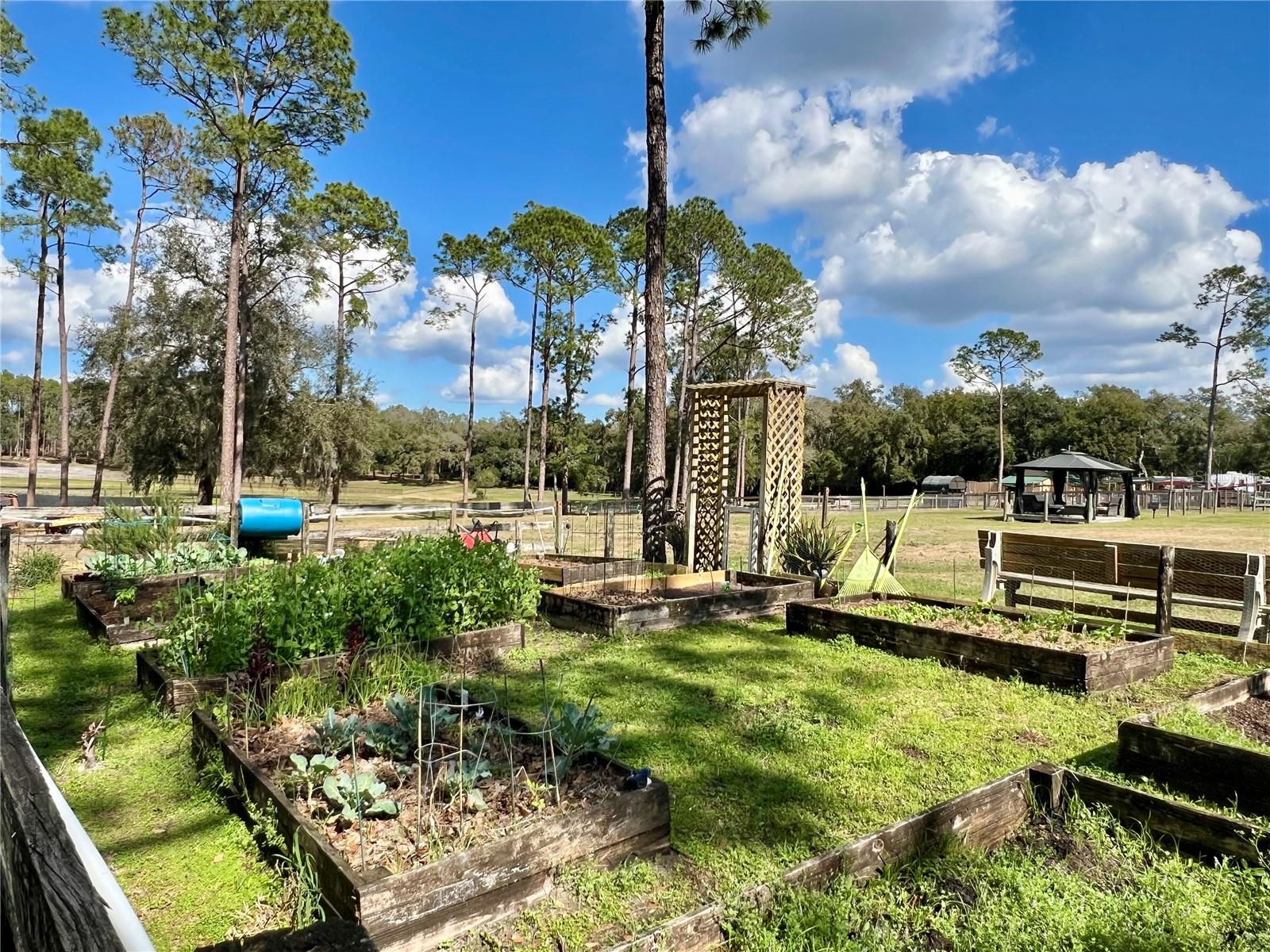 42645 W ALTOONA RD, ALTOONA, FL — photo 125