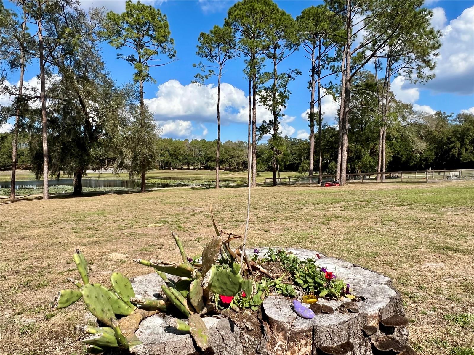 42645 W ALTOONA RD, ALTOONA, FL — photo 129