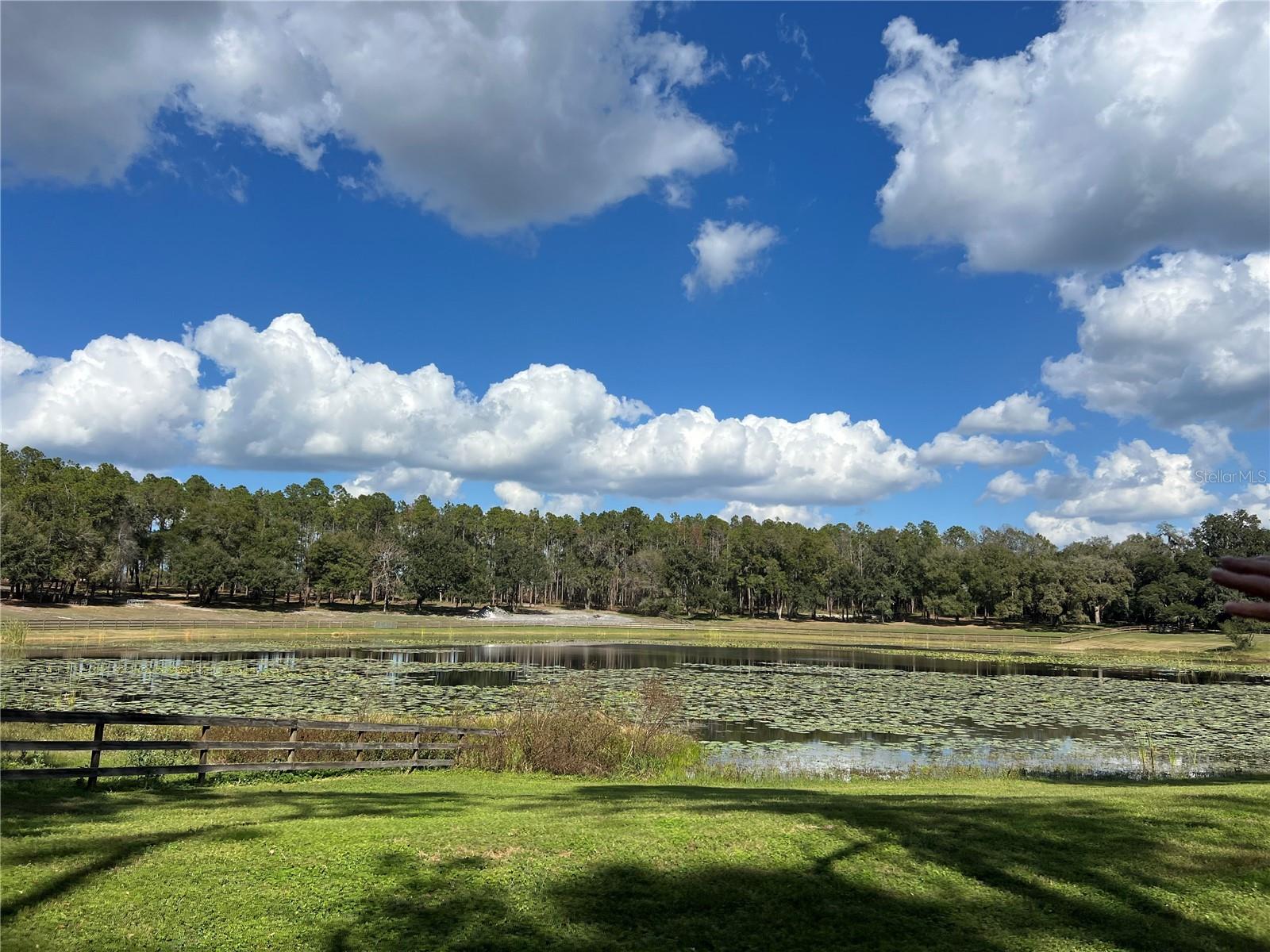 42645 W ALTOONA RD, ALTOONA, FL — photo 141