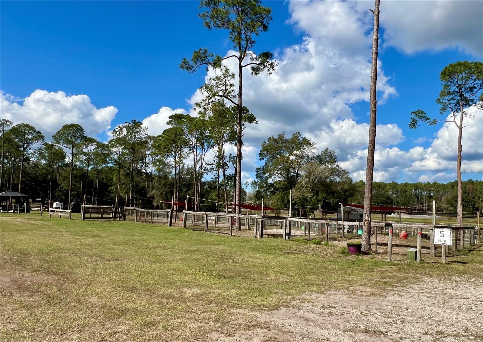 42645 W ALTOONA RD, ALTOONA, FL — photo 152