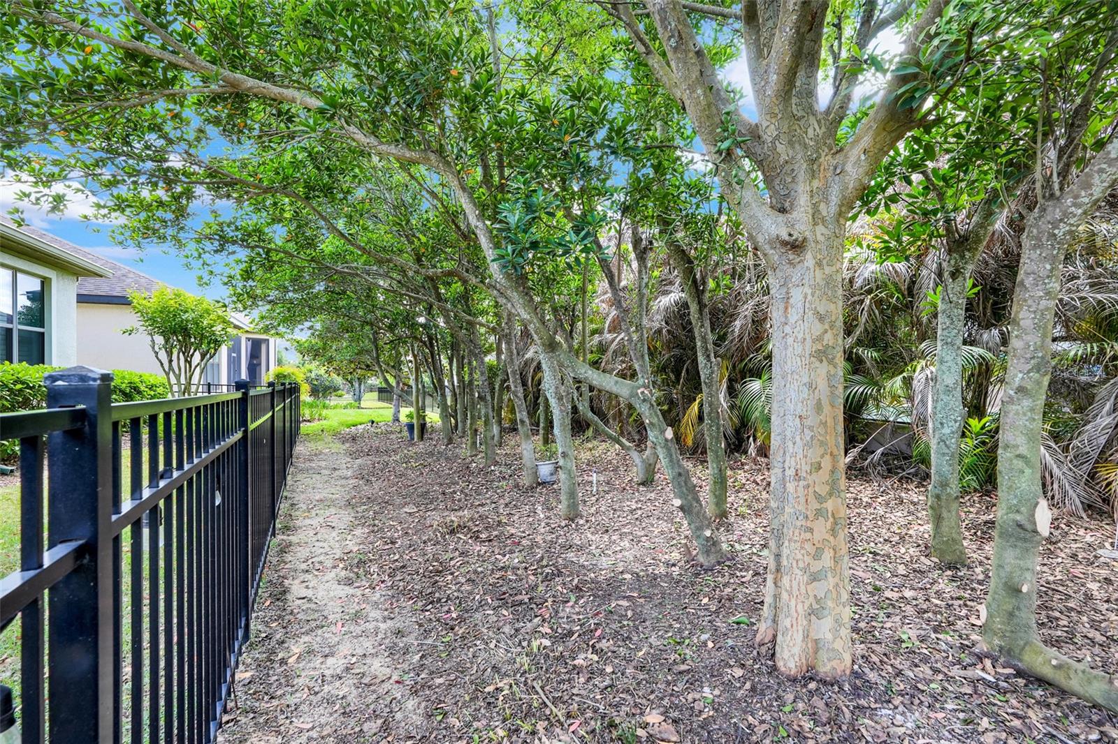 1038 TIMBERVALE TRL, CLERMONT, FL — photo 82