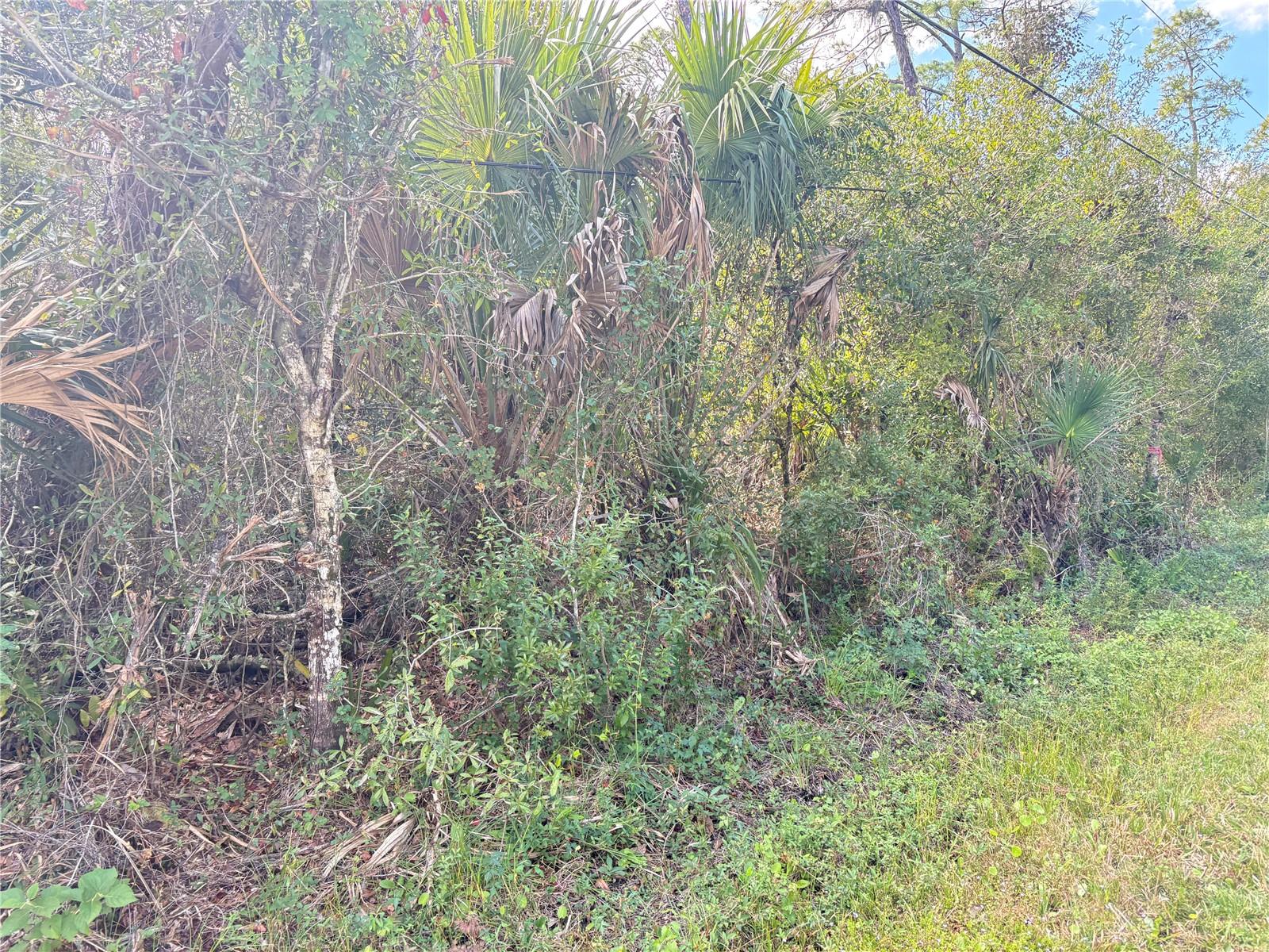 COBBLER LN, NORTH PORT, FL — photo 2
