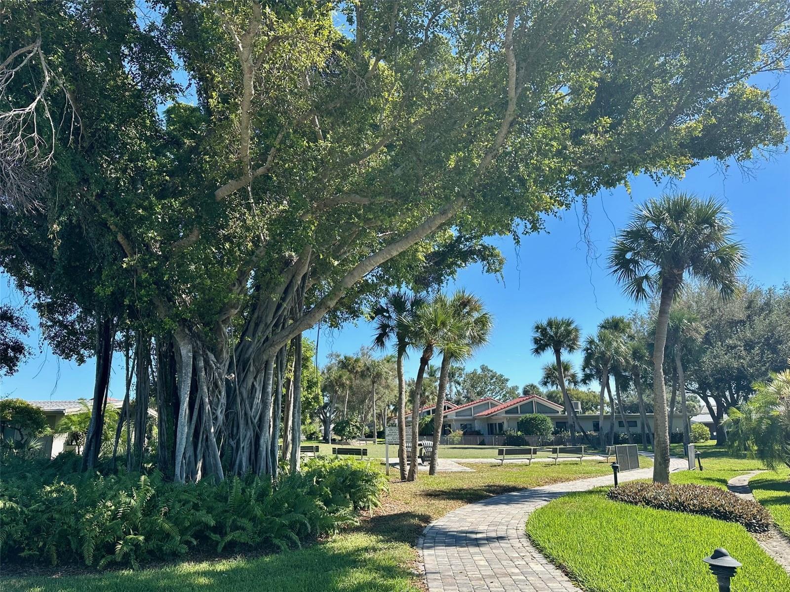 500 PARK BLVD S #46, VENICE, FL — photo 33
