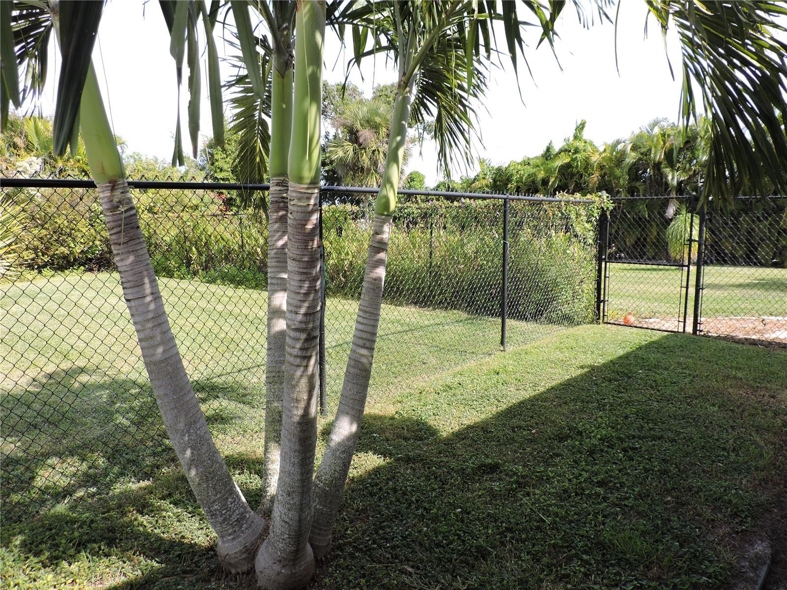 8170 CASA DE MEADOWS DR, ENGLEWOOD, FL — photo 63