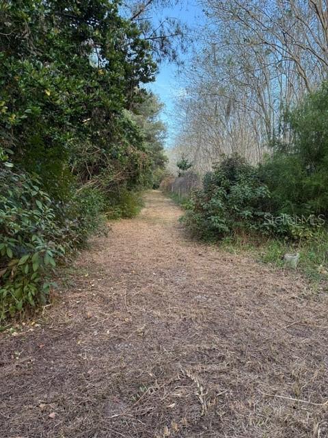 14914 SE 56TH AVE, SUMMERFIELD, FL — photo 6