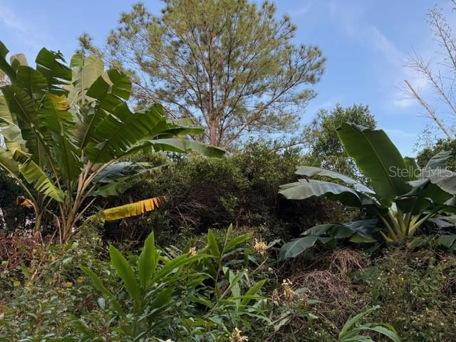 14914 SE 56TH AVE, SUMMERFIELD, FL — photo 9