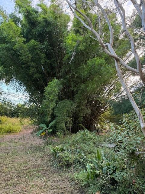 14914 SE 56TH AVE, SUMMERFIELD, FL — photo 12