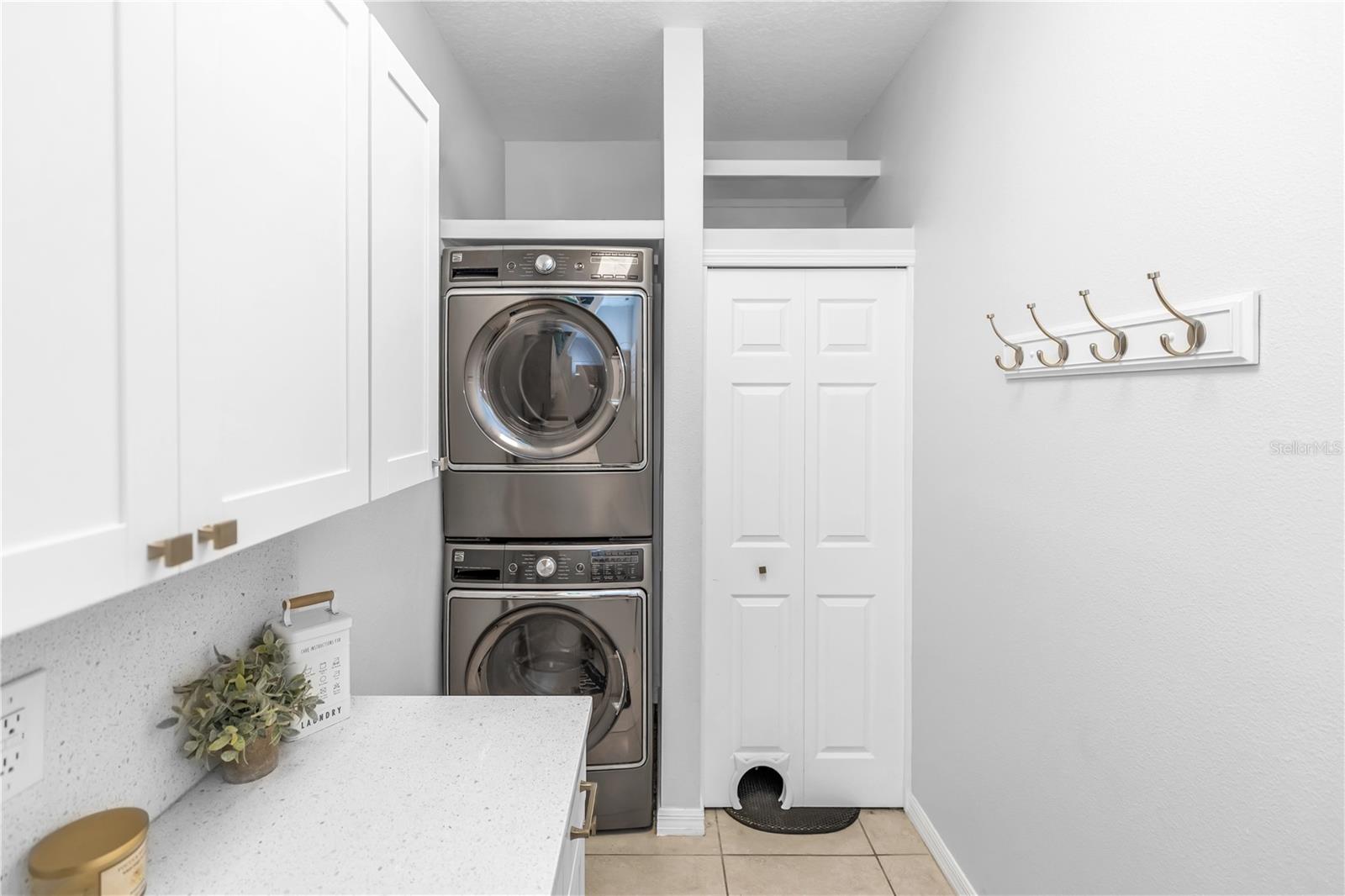 3301 BETHPAGE LOOP, MOUNT DORA, FL — photo 19