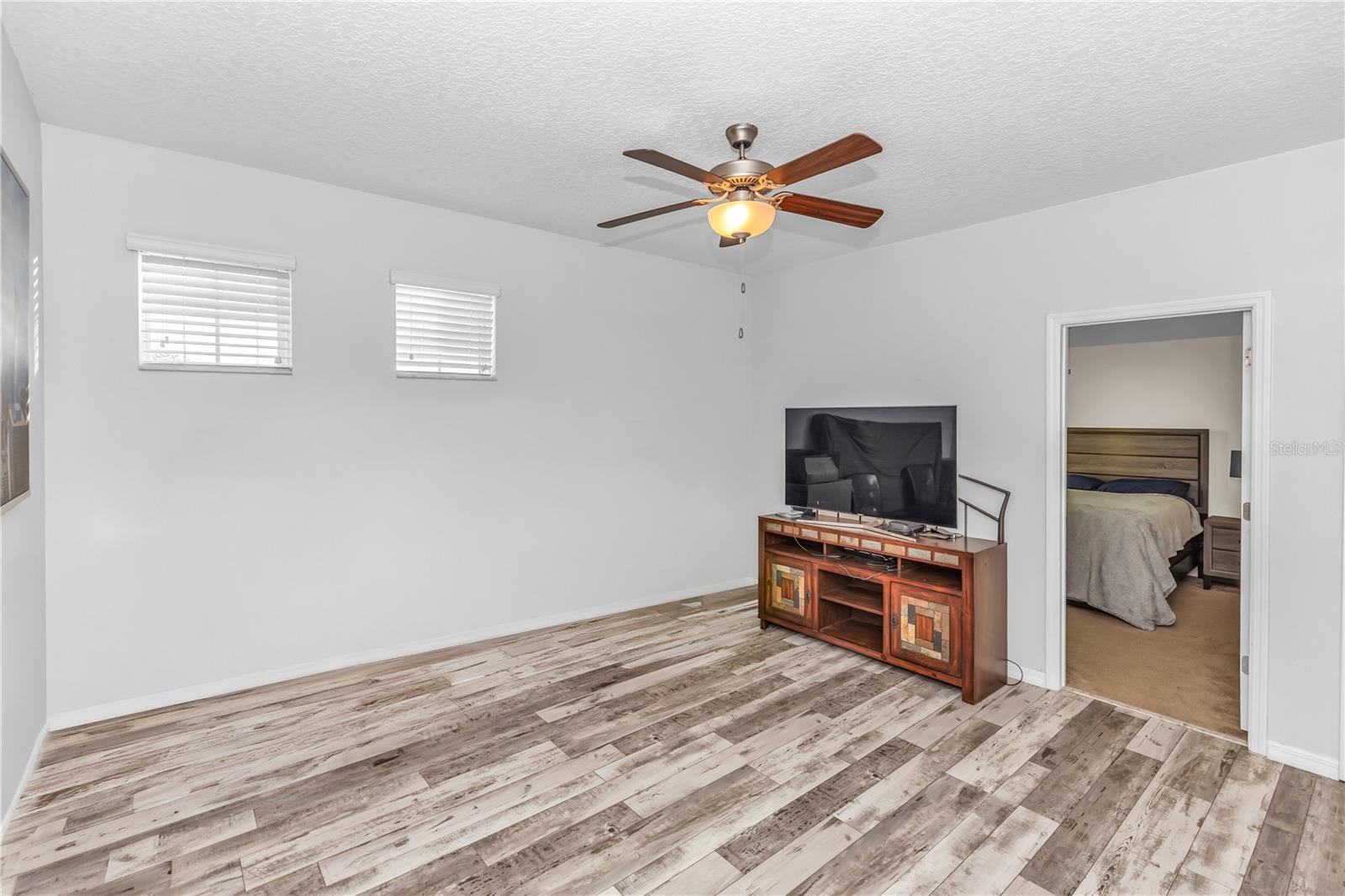 3301 BETHPAGE LOOP, MOUNT DORA, FL — photo 33