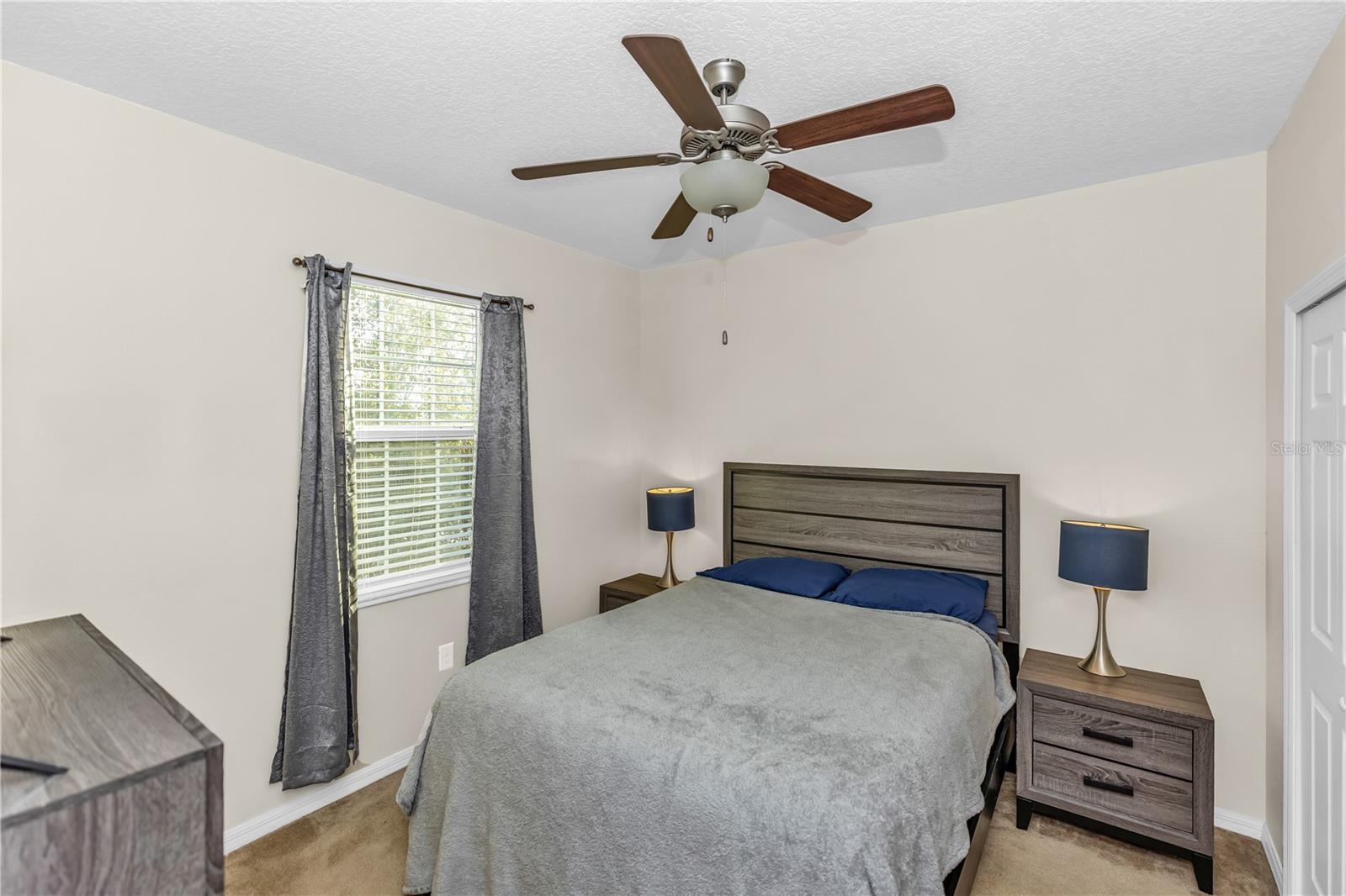 3301 BETHPAGE LOOP, MOUNT DORA, FL — photo 36