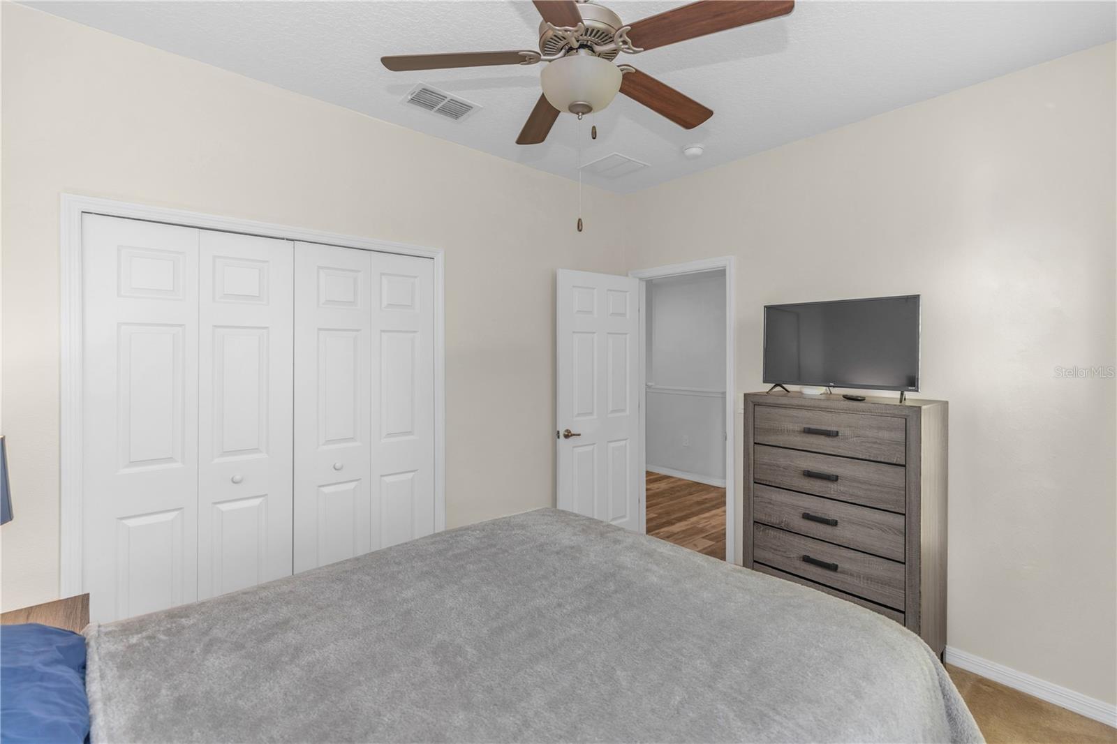 3301 BETHPAGE LOOP, MOUNT DORA, FL — photo 37