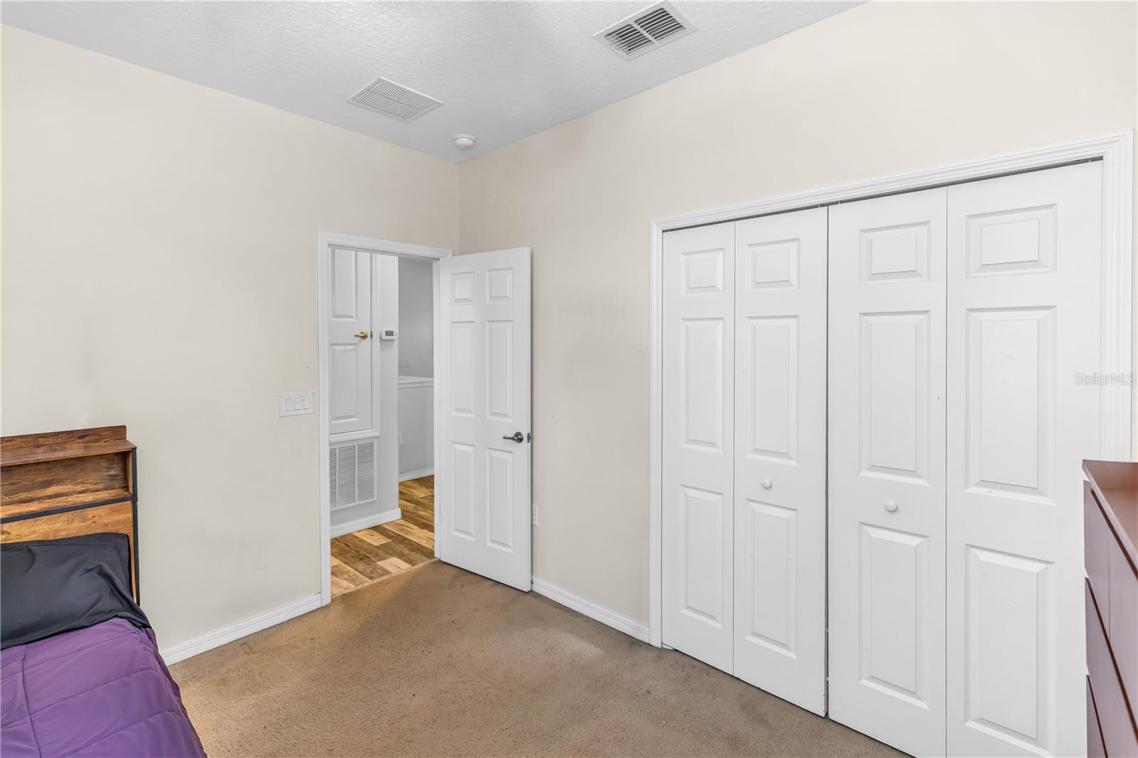 3301 BETHPAGE LOOP, MOUNT DORA, FL — photo 39