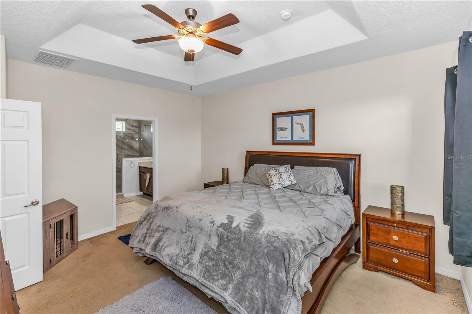 3301 BETHPAGE LOOP, MOUNT DORA, FL — photo 48
